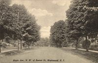 Photo only available in the library
